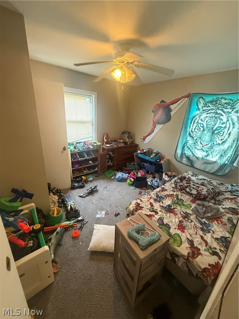 1055 Frederick Boulevard, Akron, OH - Photo 8