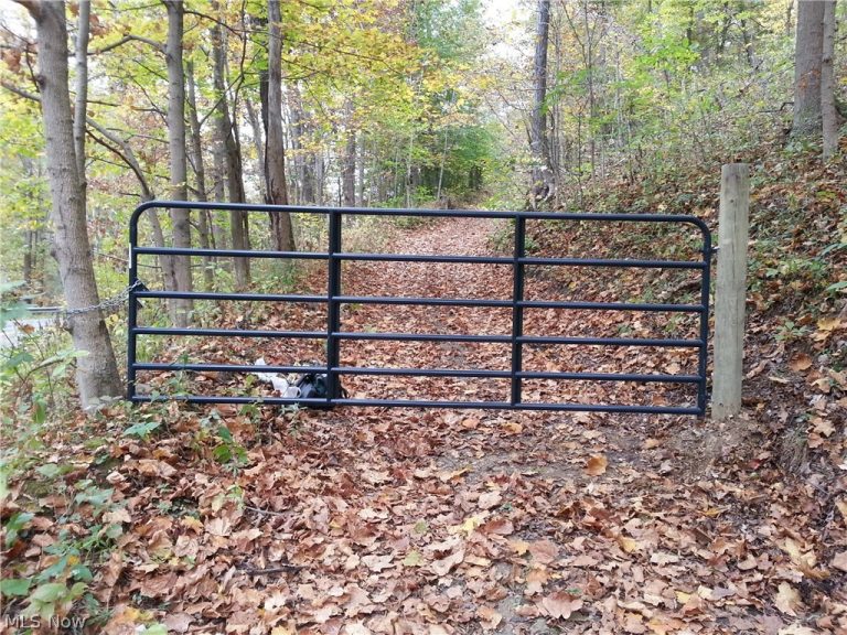 00 Pipe Creek Road, Jacobsburg, OH - Photo 4