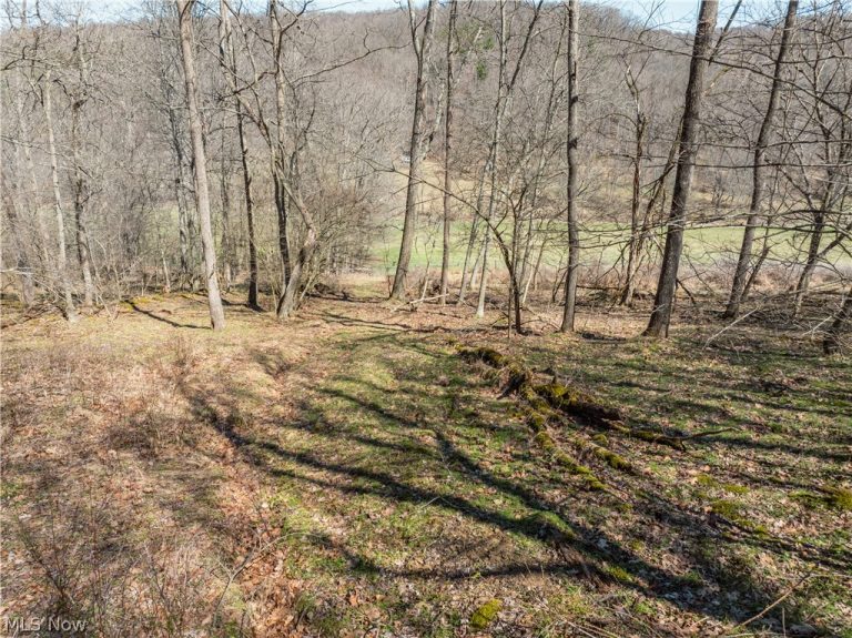 Township Road 34, Killbuck, OH - Photo 5