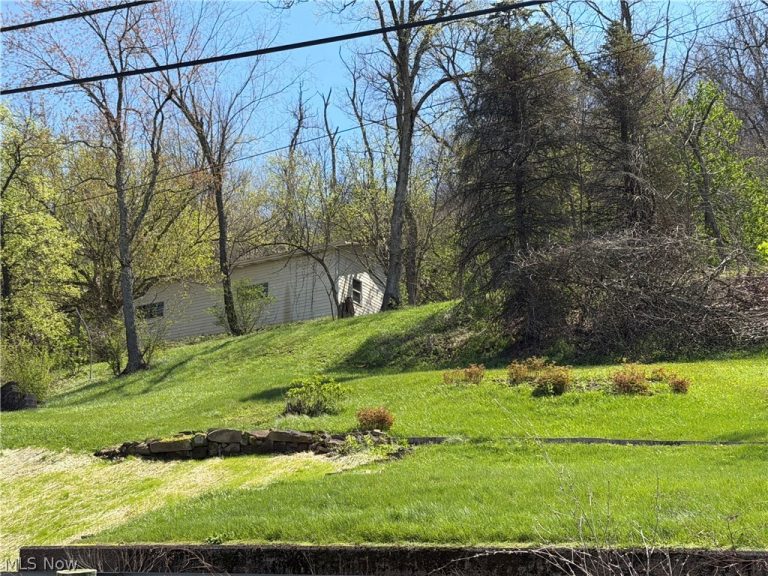 56624 Boyd Avenue, Bridgeport, OH - Photo 4