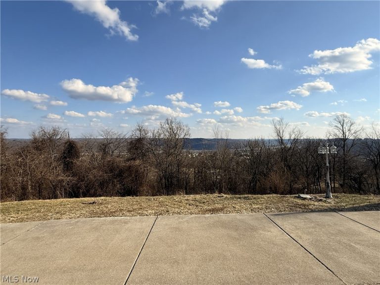 411 Petrick, Mingo Junction, OH - Photo 2