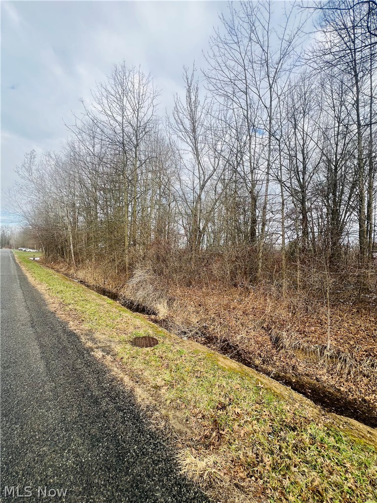 Lot 113 Breezewood Lane, Orwell, OH - Photo 5