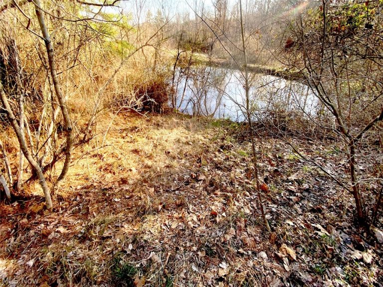 Twp Rd 318 Road, Dexter City, OH - Photo 8