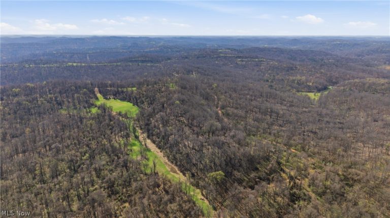 Logston Run Road, Ravenswood, WV - Photo 3