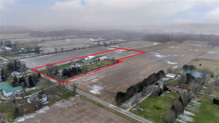 14768 Whitehead Road, LaGrange, OH - Photo 4
