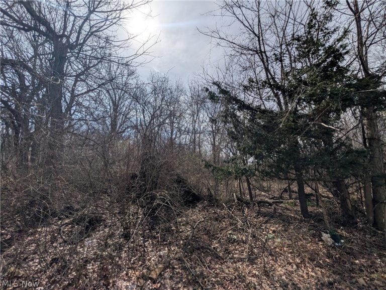 VL North Ridge Road, Lorain, OH, 44053