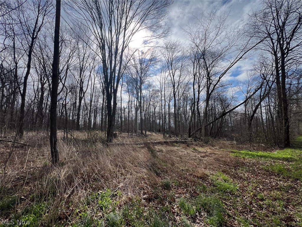 Schubert Avenue, Alliance, OH