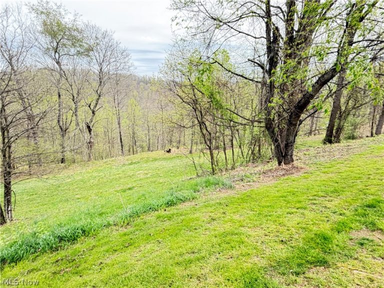 441 Tower Road, Elizabeth, WV - Photo 6