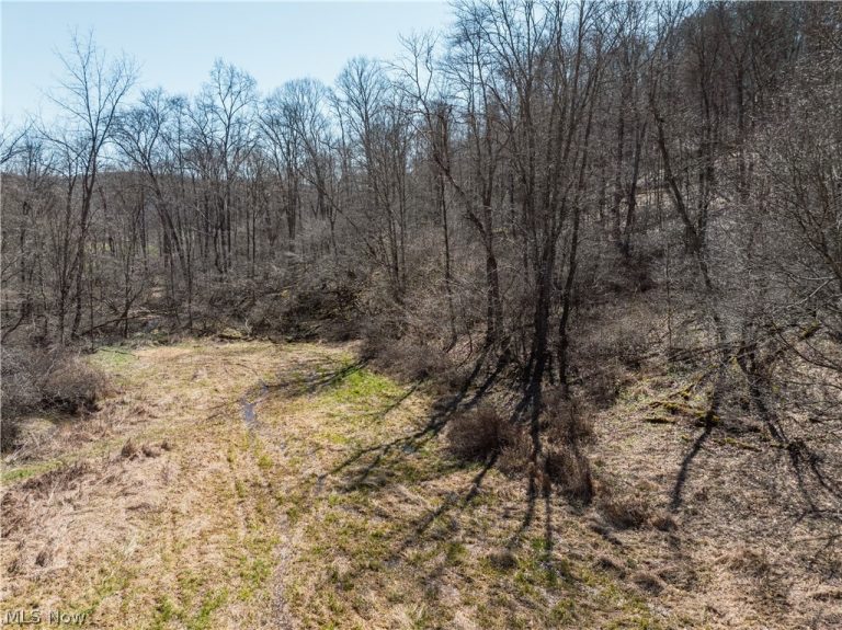 Township Road 34, Killbuck, OH - Photo 3