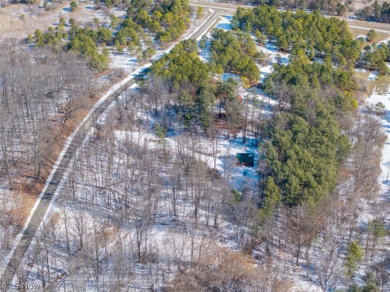 Blue Rock Church Road, Chandlersville, OH - Photo 3