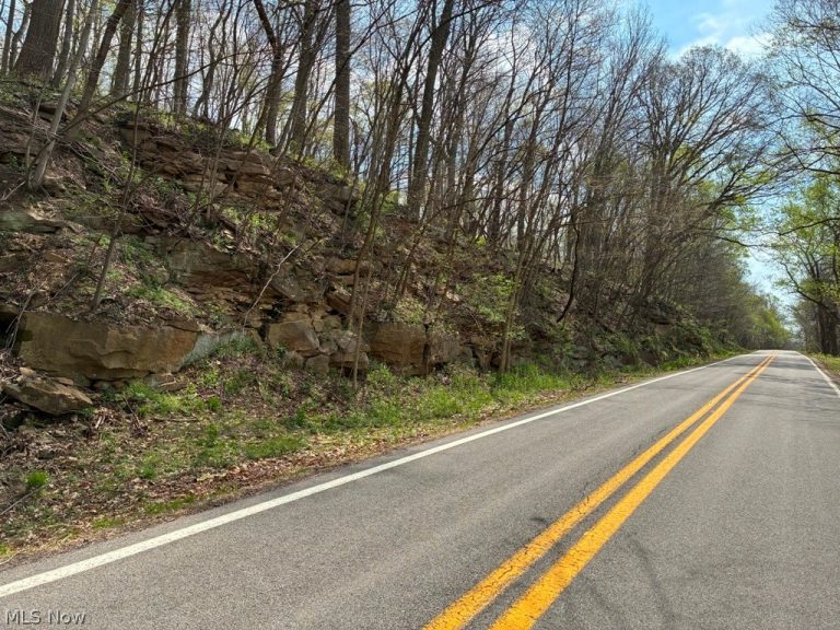 Ohio River Blvd, New Cumberland, WV - Photo 4