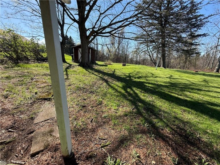 115 Grove Street, Wintersville, OH - Photo 3