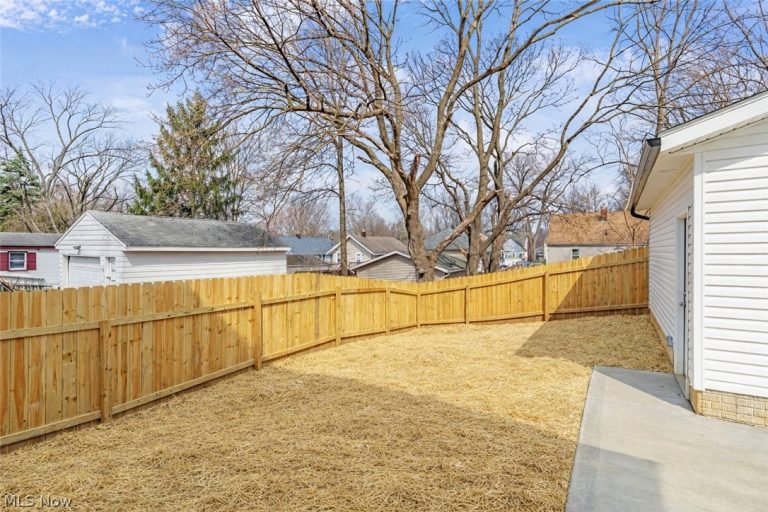 1331 Leonora Avenue, Akron, OH - Photo 4