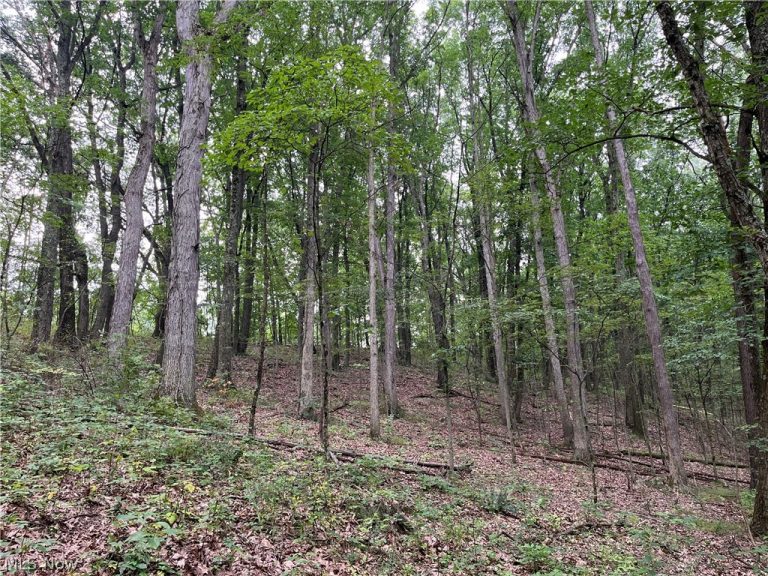 1368 Andora Road, Carrollton, OH - Photo 8