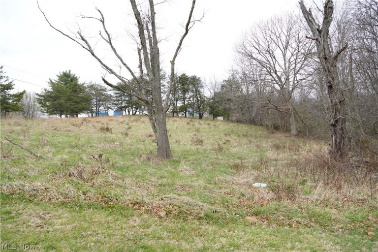 Chichester Road, Parkersburg, WV - Photo 4