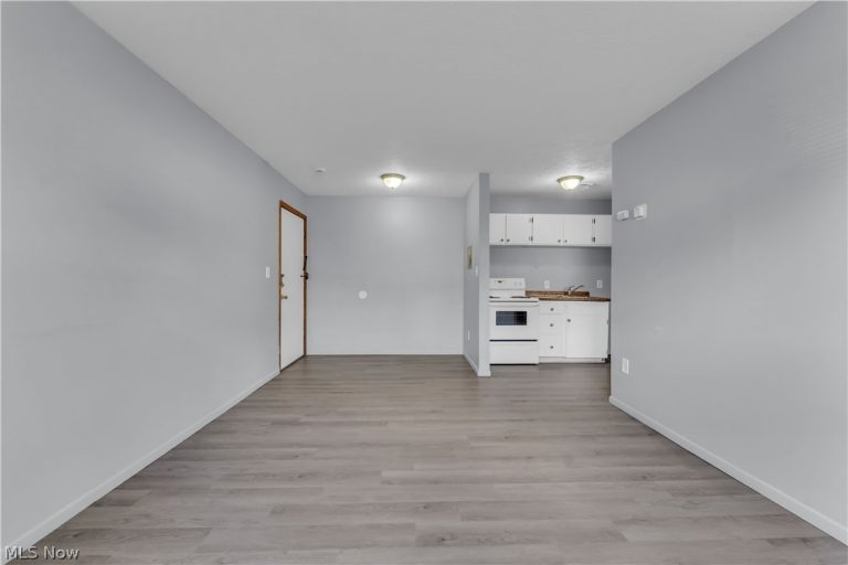 1415 Wyandotte Avenue #105, Lakewood, OH - Photo 4