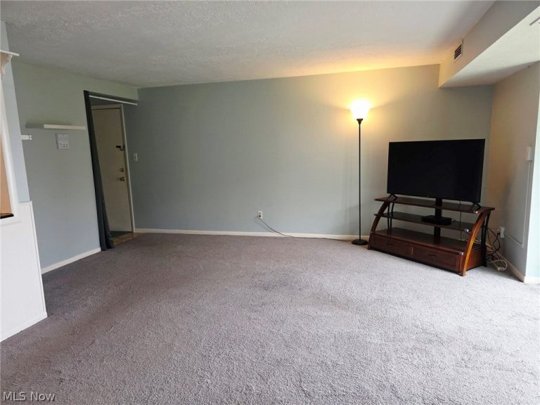 9660 Cove Drive #F-16, North Royalton, OH - Photo 8