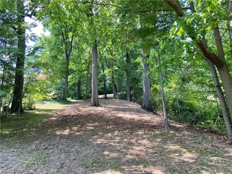 154 Mohawk Drive, Malvern, OH - Photo 3