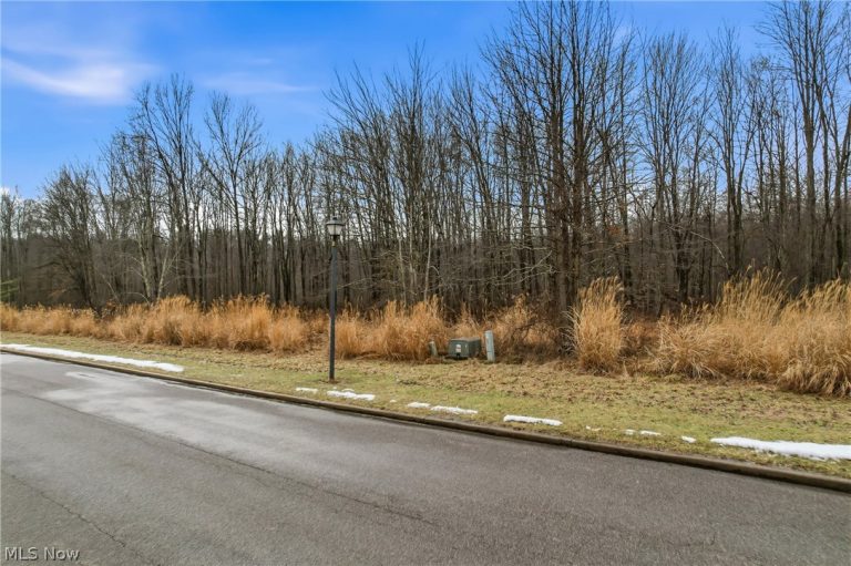 Lakeview Drive, Hubbard, OH - Photo 4