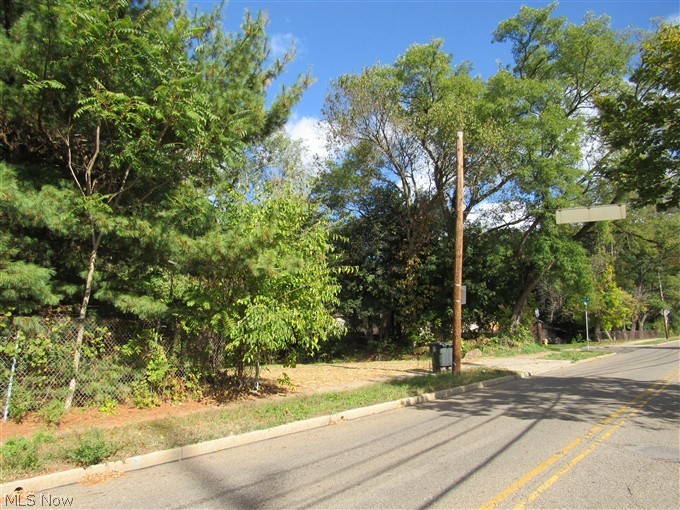 1199 Newton Street, Akron, OH - Photo 2