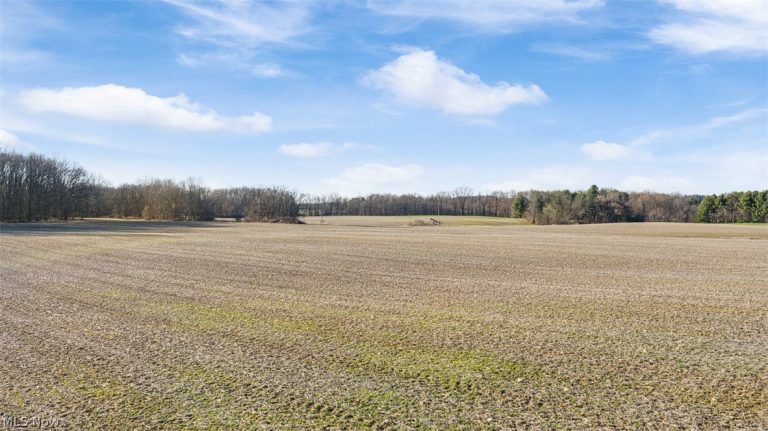 Manchester Avenue, Massillon, OH - Photo 8