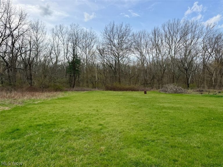 11455 Walnut Avenue, Alliance, OH - Photo 4