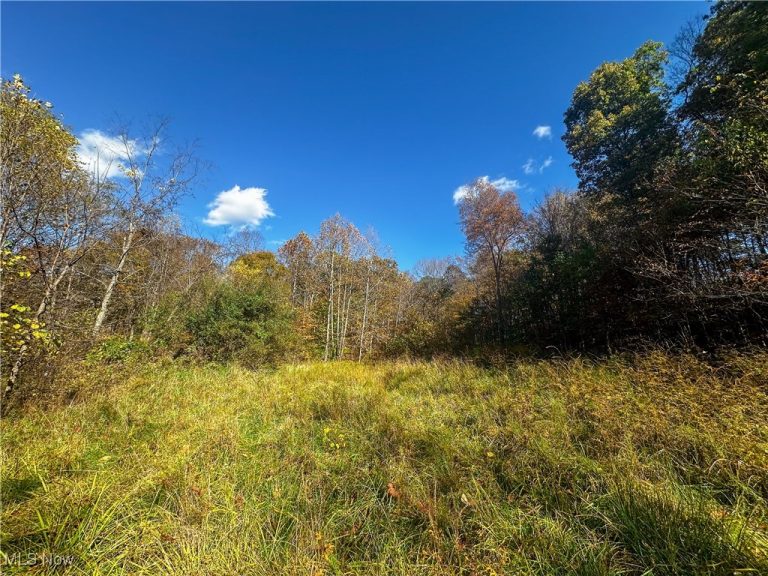 Clark Road, Cutler, OH - Photo 2