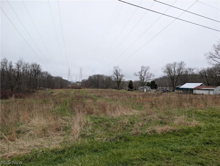 17594 Buzzard Road, Wellsville, OH - Photo 6