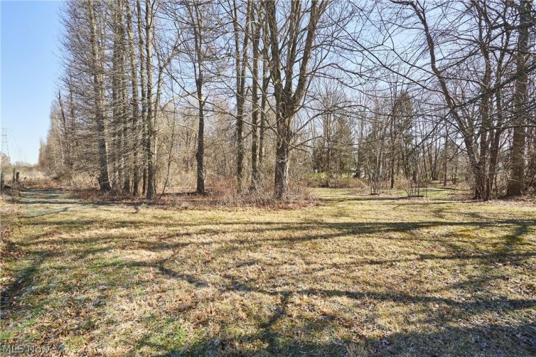 V/L 20 AC Ridgewood Road, Fairlawn, OH - Photo 3