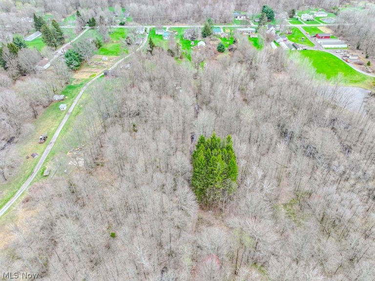 2242 Dock Road, Madison, OH - Photo 4