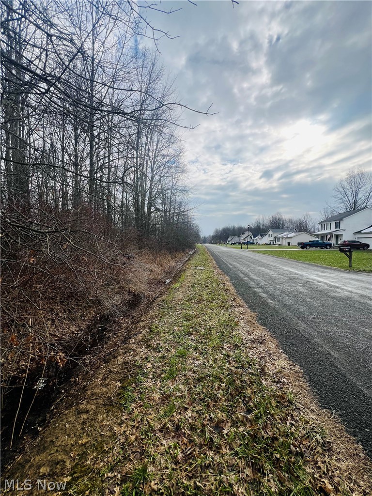 Lot 115 Breezewood Lane, Orwell, OH - Photo 4
