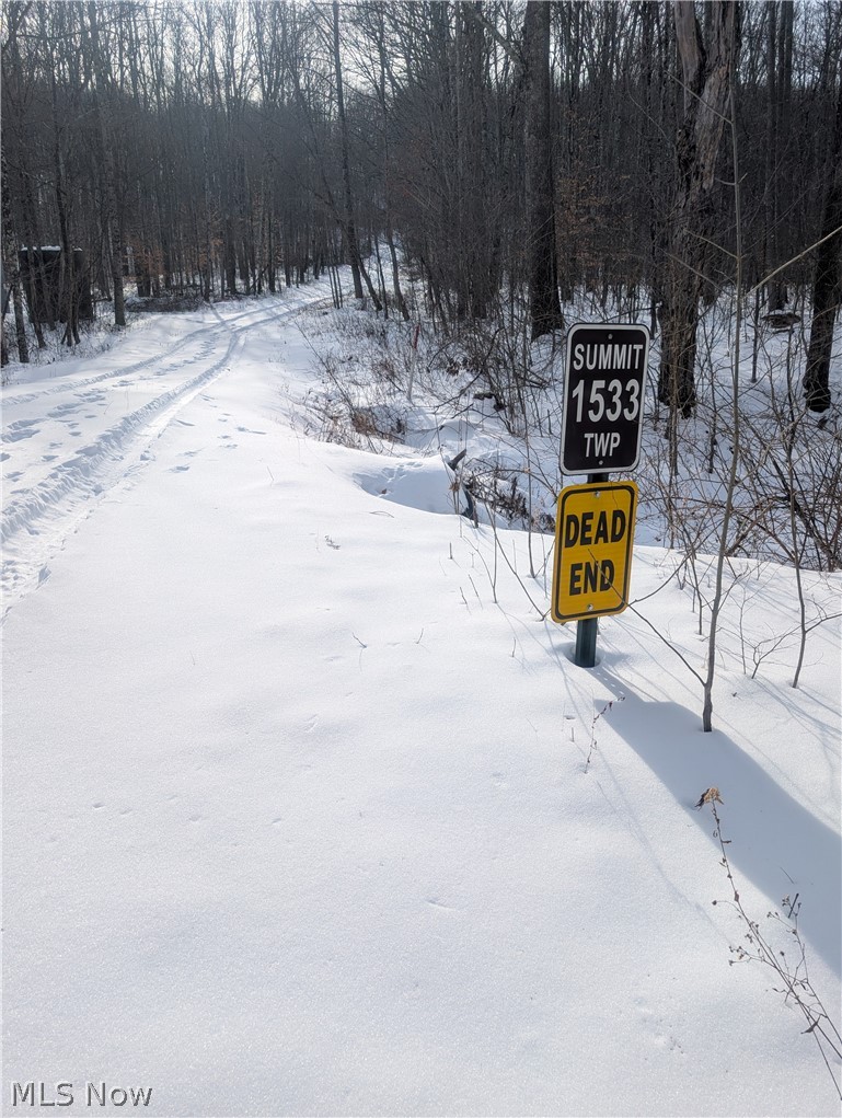 Tract 10 Kuhn Road, Lewisville, OH - Photo 6