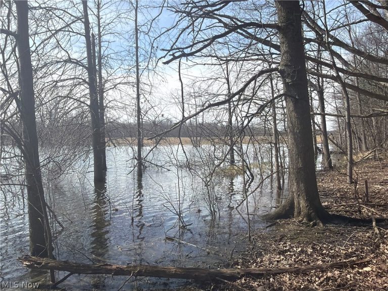 Us-20, Oberlin, OH - Photo 8