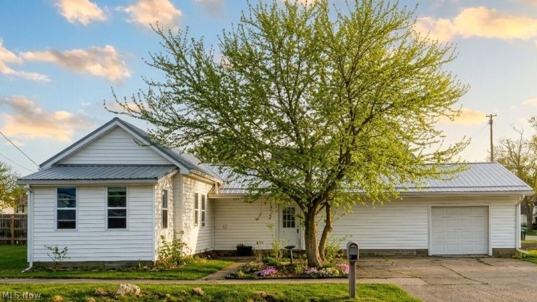297 Depot Street, Conneaut, OH, 44030