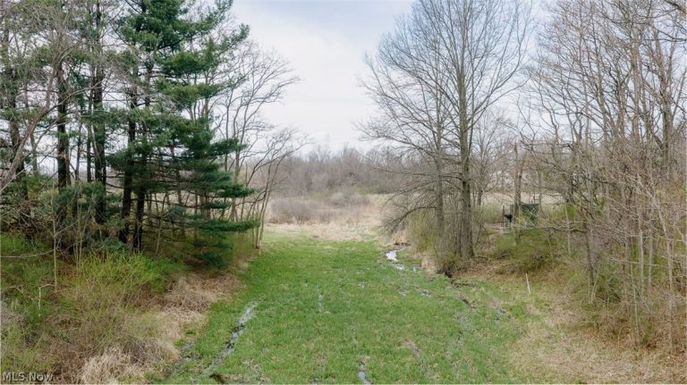 5006 Canfield Niles Road, Canfield, OH - Photo 5