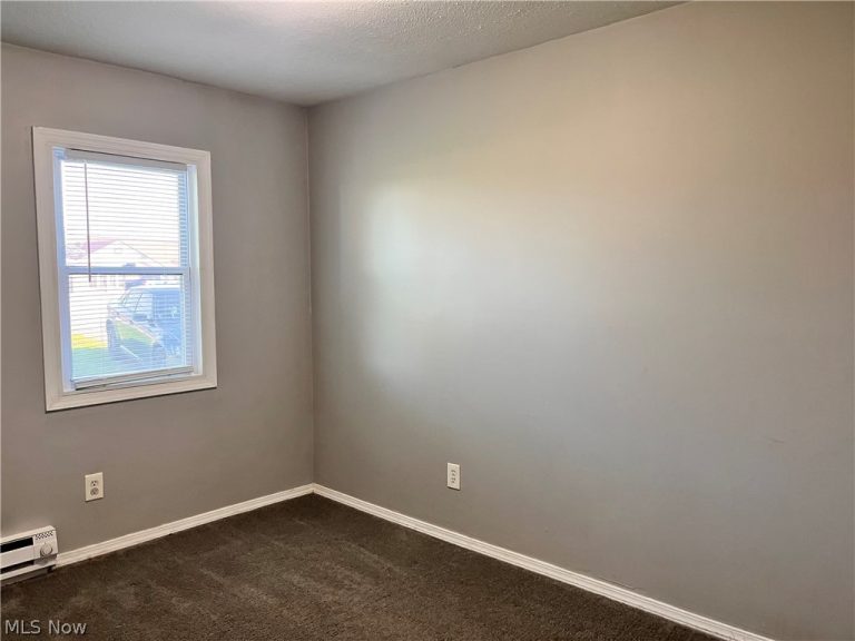 5340 Ridge Road, Madison, OH - Photo 8
