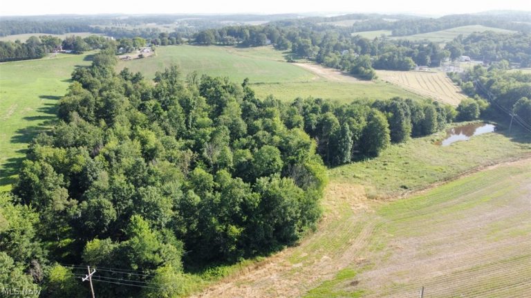 15150 Smith Road, Wellsville, OH - Photo 4