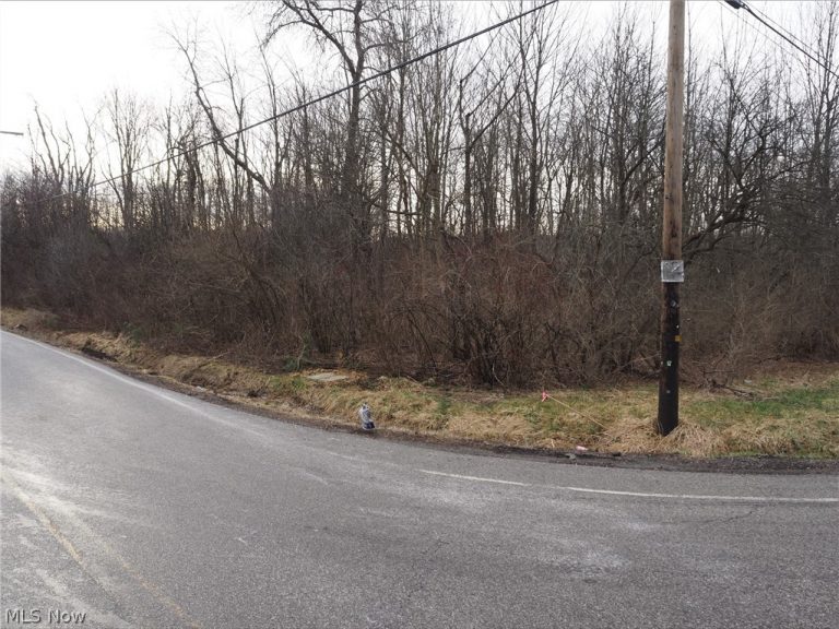 V/L 1 Bartholomew Road, Chagrin Falls, OH - Photo 2