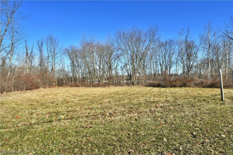 Niles Road, Warren, OH - Photo 2