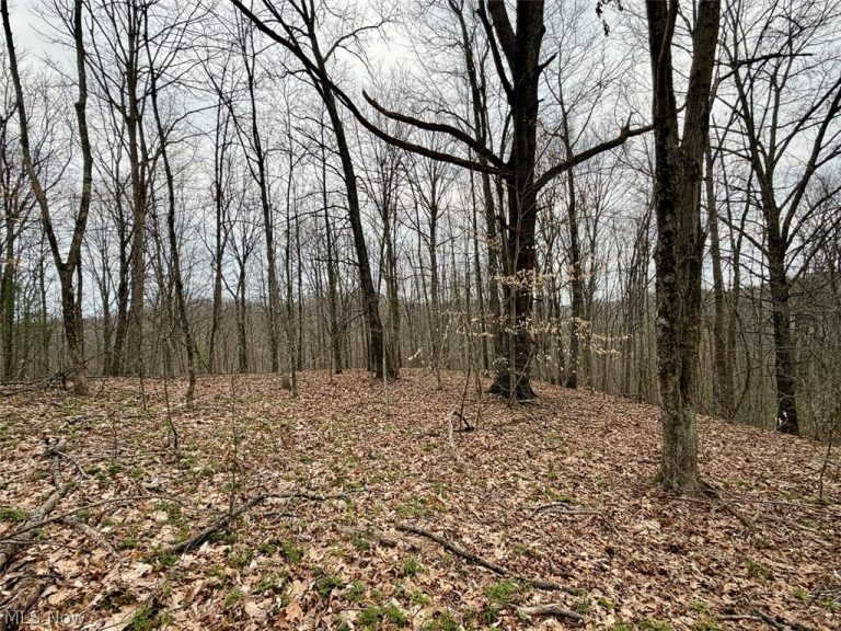 Hanson Road, Beverly, OH - Photo 6