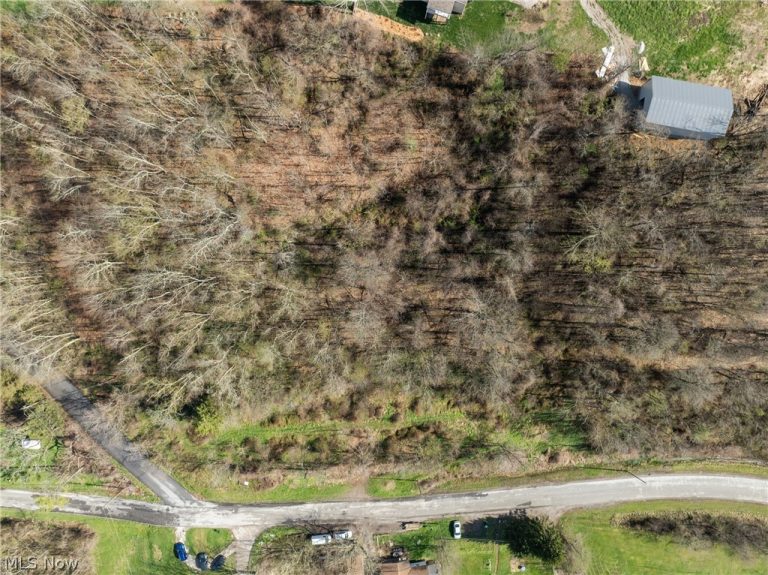 Big Way, Shadyside, OH - Photo 6