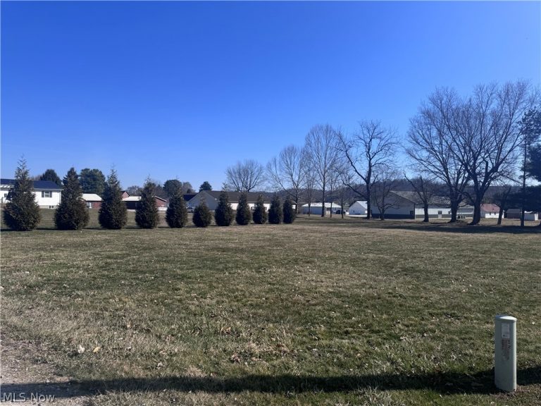 Meadow Street #Lot 9, Stockport, OH, 43787
