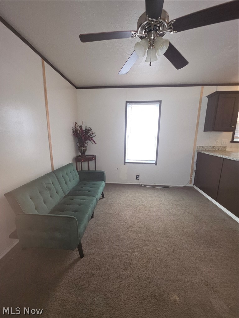 8269 Russell Lane, Cleveland, OH - Photo 8