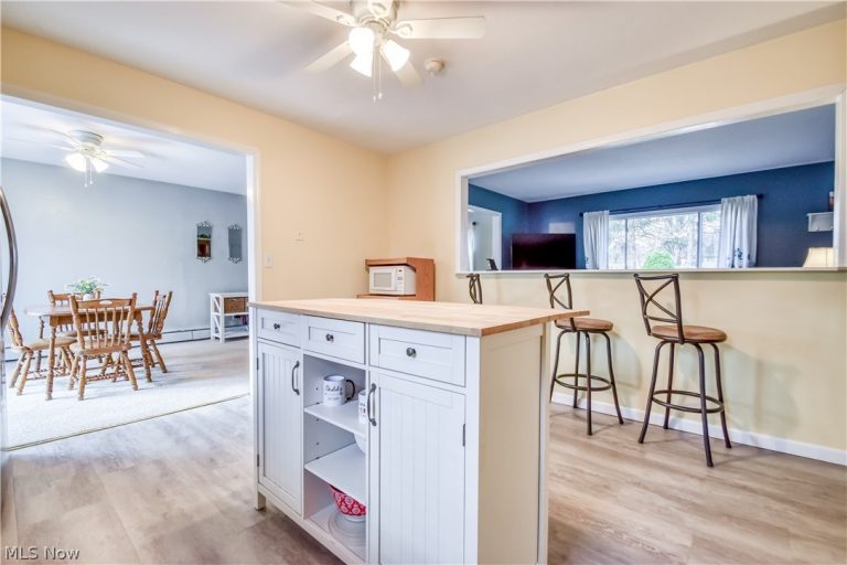 9925 Aldridge Drive, Columbia Station, OH - Photo 4