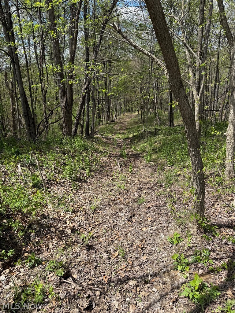 Plainview Road, Woodsfield, OH - Photo 2