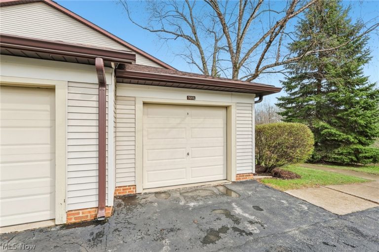 7073 Village Drive, Concord Twp, OH - Photo 4