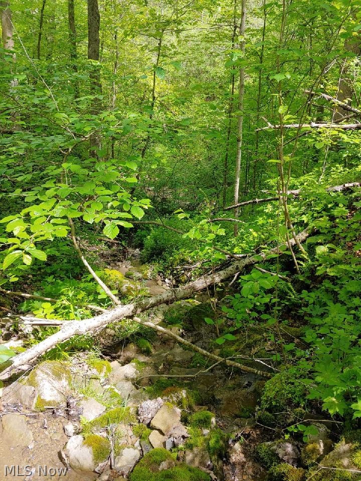 00 Pipe Creek Road, Jacobsburg, OH - Photo 2