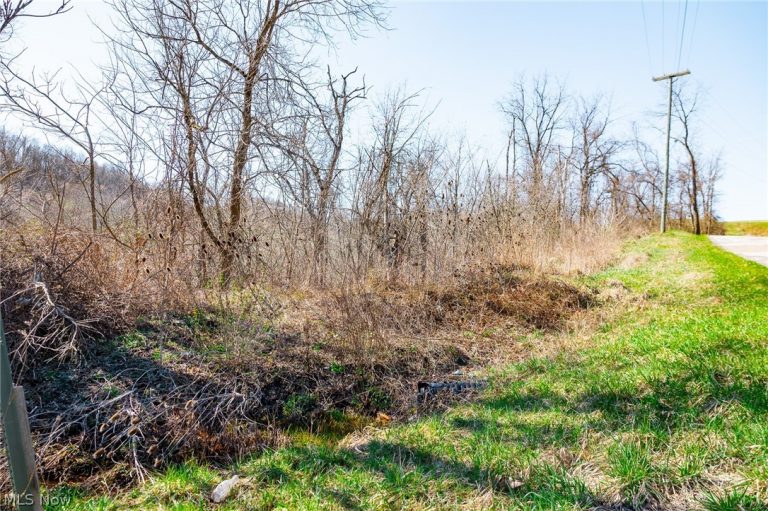 Township Road 135, Dillonvale, OH - Photo 8