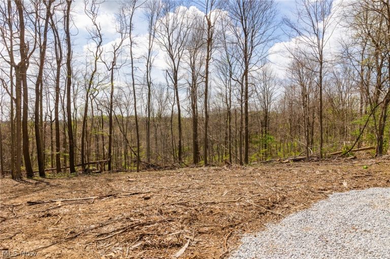 105 Hanley Road, Mansfield, OH - Photo 8