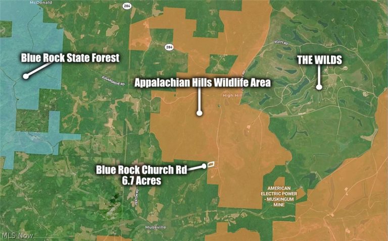 Blue Rock Church Road, Chandlersville, OH - Photo 5